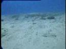 Eolie islands