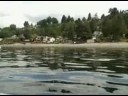 Jul 06 2008 - VID00052