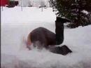 Fat Guy Snow Dive