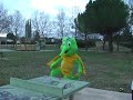 Un hippocampe aux 20 kms de Montpellier (Entrainement Intensif)