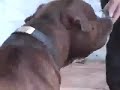 See video