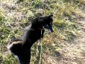 土手をお散歩