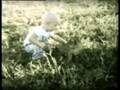 videos de Real Life Footage Of Elsa The Lioness