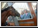 Barbaro..Forever a Champion Barbaro..Forever a Champion