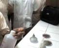 BACTERIOLOGIA  5