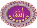 tale3 albadro