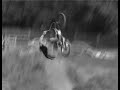 united bike co its christmas