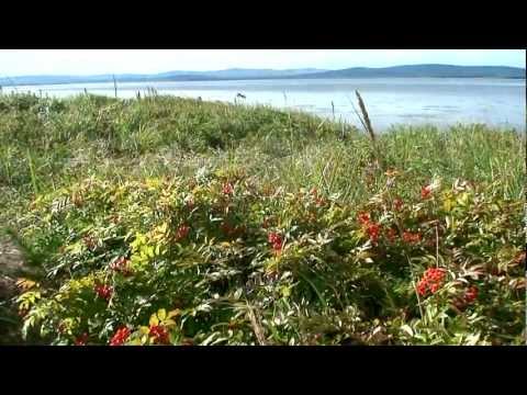 Амур - река черного дракона.