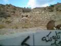 Monkeys in Taif in Saudi Arabia