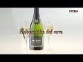 CAPITULO 13 VINO ESPUMOSO NATURAL ELABORACION DEL CAVA