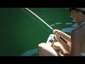 Reel Girls Fish