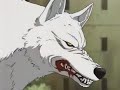 Wolf\ Wolf\
