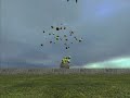 Melons!