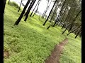 LML Vespa Ride in the Casurina Park - @ Kodibag, Karwar