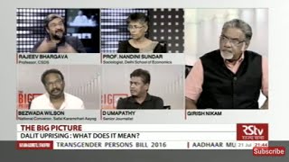 The Big Picture - Dalit Uprising: What does it mean?