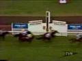1983 Melbourne Cup