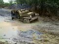LA PICKUP (en el cielito Toa Alta)