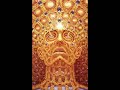Ozric tentacles-papyrus Ozric tentacles-papyrus