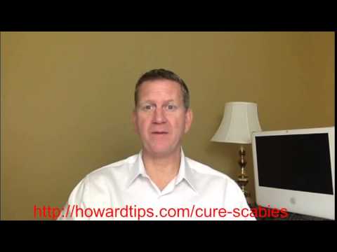 how to treat furniture for scabies