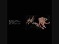 Flagitious Idiosyncrasy In The Dilapidation - Evacuation