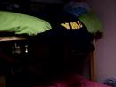 Duer Flipping from bed