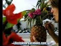 All Inclusive Dominican Republic Vacation