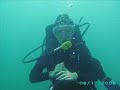 Loch Low-Minn and Dale Hollow SCUBA Friends