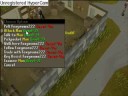 Runescape the movie