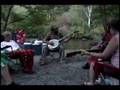 Bluegrass Whoa Mule Toccoa Valley Campground Blue Ridge Ga