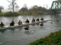 videos de Clare Novice Regatta, Anglia Ruskin semi-final