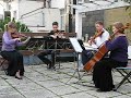 Maes music 1