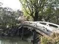 2007 Sakura (Cherry Blossom), Shosei-en Garden