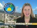 Hotel Price Finder & Paddling Hawaii Hotel Price Finder & Paddling Hawaii