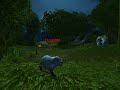 Hogger Kited!