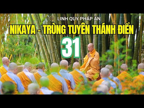 Trùng Tuyên Thánh Điển NIKAYA 31 (2.9.2025)