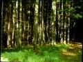 Tamil christian song "Thedi vanden Iraiva" DeepaMiriam 
