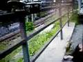 Sk8te Boy le clip by TB