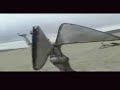 magic glasses camp at burning man