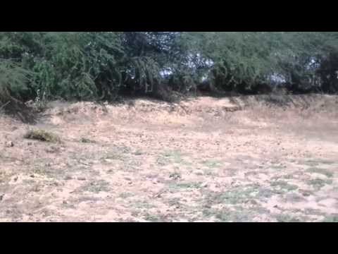 Gsldc, Talav, Mahesana , Dodivada, Chhtasan,635, Before Work 15