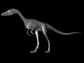Dino walk cycle