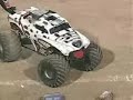 monster jam   monster mutt   el paso texas