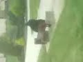 hey enkor so et gugu....
