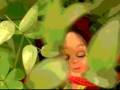 Susto- Eco del bosque