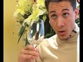 must love wine   pinot grigio