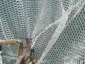 Tarpon Tamers Tarpon Tamers