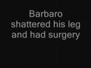 Frankenbarbaro