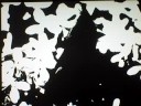 de noir et blanc en couleur