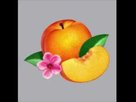 05 Phoenix - Bankrupt