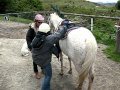 Vacances Jour 12: Wanaka et la rando à cheval
