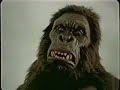 great-ford-commercial.html